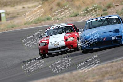 media/May-03-2025-Lucky Dog Racing (Sat) [[206de64b9d]]/Turn 4 A (3pm-4pm)/